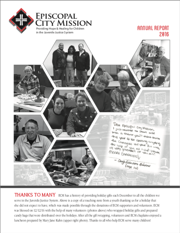 2016 Annual Report cover